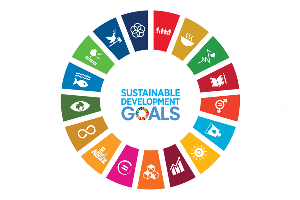 As government funding shrinks, the role of corporations grows: Freedom Holding’s commitment to UN Sustainable Development Goals